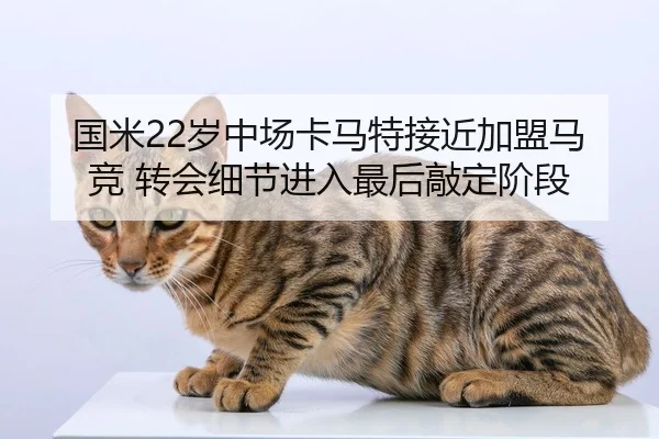 国米22岁中场卡马特接近加盟马竞 转会细节进入最后敲定阶段